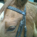 fiona mcfarlane - @fionaa48 - Twitter