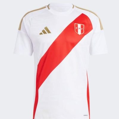 Administrador Industrial, fanático del fútbol ⚽ .
🇵🇪