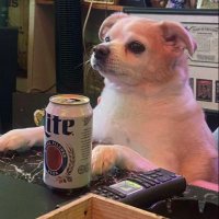 G (@sonkballs) 's Twitter Profile Photo G (@sonkballs) 's Twitter Profile Photo