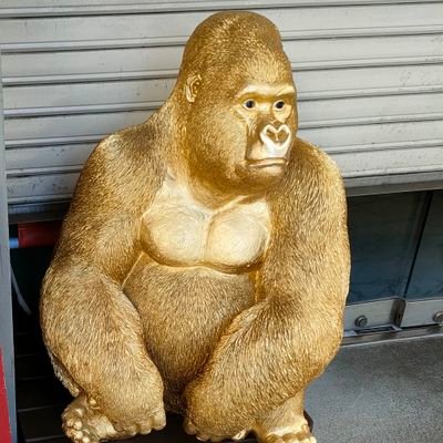 yusy55's profile picture. 近所のジム通いと、毎日の散歩が日課の人。
ドライブと美味しい物を食べることが趣味。お仕事は分析技術屋さん。
性格はESFJ-A