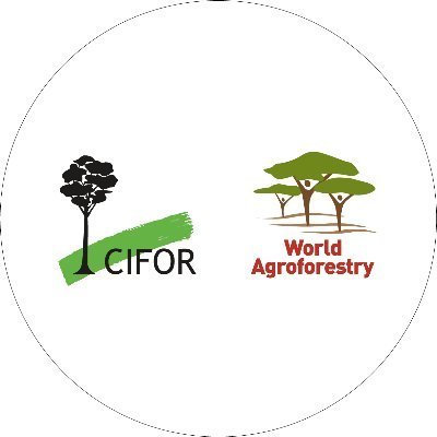 CIFOR_ICRAF Profile Picture