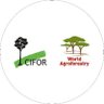 CIFOR_ICRAF's profile picture. CIFOR-ICRAF is the world’s leader on harnessing the power of trees, forests and agroforestry to address the global challenges of our time.
#TreesPeoplePlanet