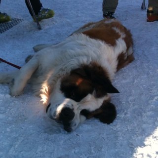 rosshock's profile picture. 