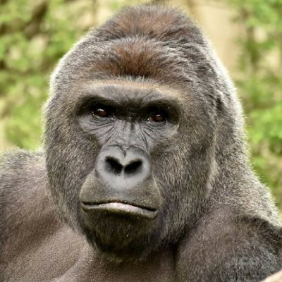 Xm2dW's profile picture. 