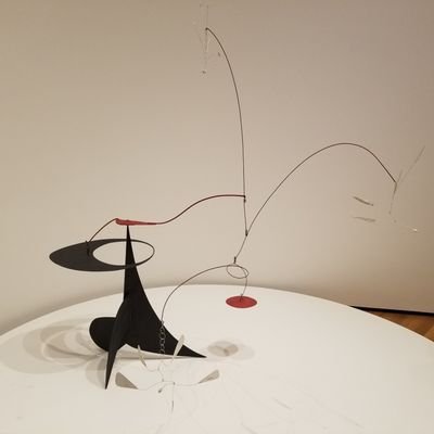 katewheeler2's profile picture. Superfan Storm Rockets Broncos Mariners Track