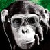 ramz ๐ฒ๐ฎ (@ramzps) Twitter profile photo ramz ๐ฒ๐ฎ (@ramzps) Twitter profile photo