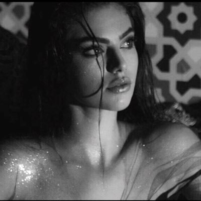 DKasassbeh's profile picture. . .🖤🇯🇴 ❀ . **((((وقلبـــي للخيـل مـيآل. ،*𖤍᭄🖤🐎👑)))