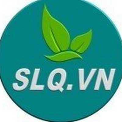 titaniumvn03's profile picture. Shellaiqi specializes in providing electrode plates and electrolysis units used in drinking water, domestic water, and wastewater treatment.