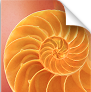 http://t.co/xutdd6Wrr4 Create beautiful iBooks in minutes with professionally designed iBooks Author Templates.
