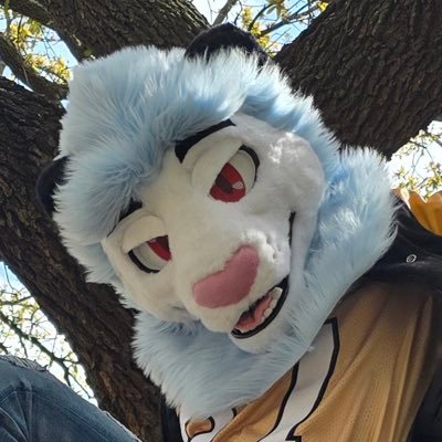 Hiya! I’m just your run of the mill lion. If there’s anything I can help with shoot me a message! UTDallas student.He/Him|20|With @Lyamdafennec❤️✂️@UrsidaeSuits