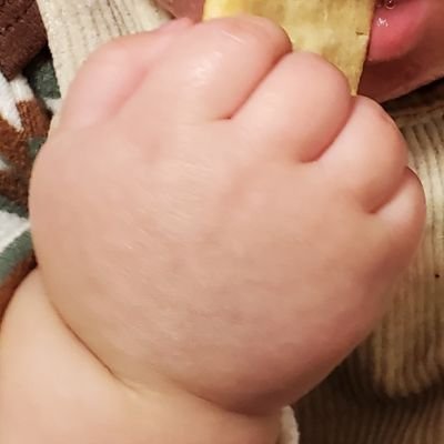 hachi_hachi_xxx's profile picture. とあるシングルマザーのひとりごと　　　実家は頼れず0歳息子と二人で生きてます　　　息子の父親は認知拒否につき弁護士に依頼中　　　⚠️ストレスと日々の不安から解放されたいアカウント　　　⚠️吐き出しメイン