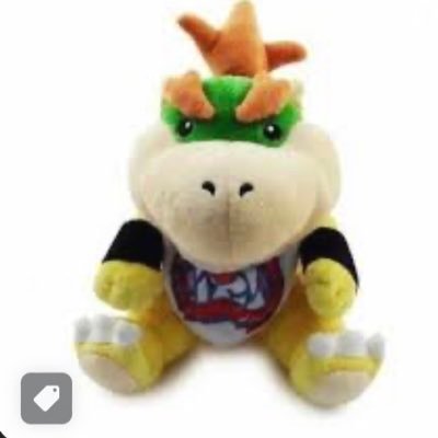 bowser jr main/him/17