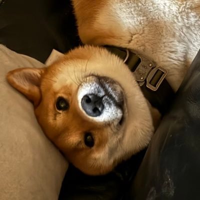 らわらさんさんのプロフィール画像
