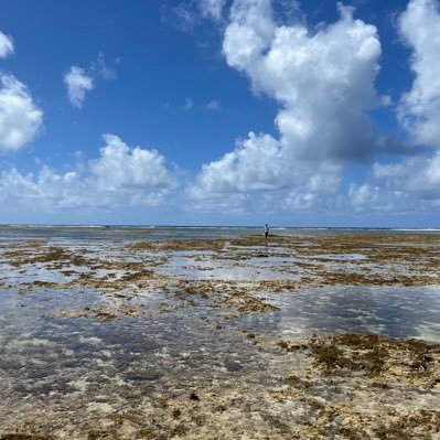 rikito22i's profile picture. 