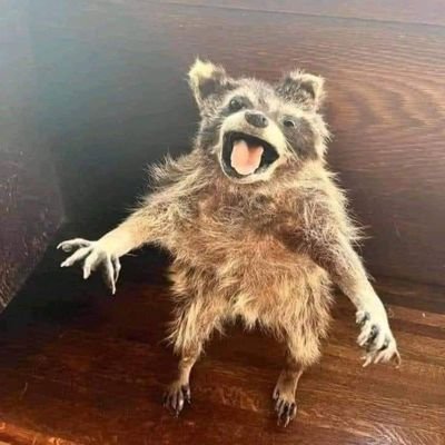 convertiblesex's profile picture. I'm stuck somewhere between having it together & some assembly required