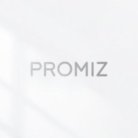 PROMIZ(@PROMIZ_PMZ) 's Twitter Profile Photo