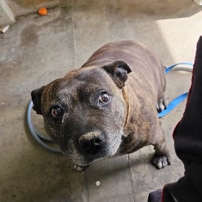 CorelliJor47613's profile picture. crypto money magnet