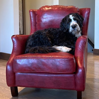 RonzosPizza's profile picture. 