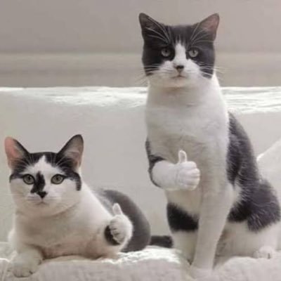 baby_fruitie's profile picture. 🥝🥑