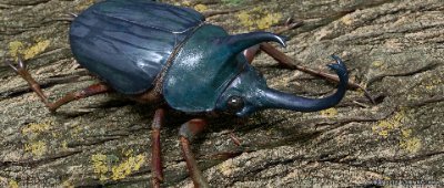 linfeng005's profile picture. 