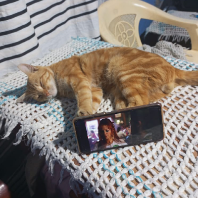 pesa_mpend91243's profile picture. 