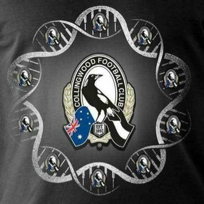Collingwood fc till i die go pies manly warringah fc till i die @lovetohatecarlton