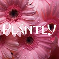 Plantly_Official(@PlantlyOfficial) 's Twitter Profile Photo
