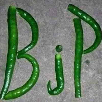 sardhaSaliya's profile picture. 