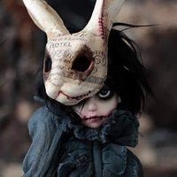 Mr. Weird Bunny(@TheCrazyHare) 's Twitter Profile Photo