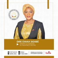Dr Diaka SIDIBÉ(@sidibe_diaka) 's Twitter Profile Photo