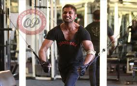 MeHoneysingh01's profile picture. 