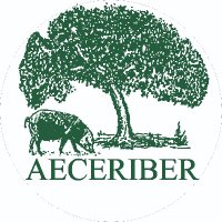 AECERIBER (@aeceriber) 's Twitter Profile