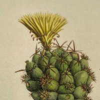 Jam (@minilachan) Twitter profile photo