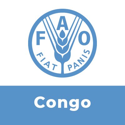 Toutes les informations sur @FAO en Congo.  Suivez notre Directeur général QU Dongyu, @FAODG.