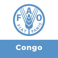FAO en République du Congo(@FAOCongo) 's Twitter Profileg