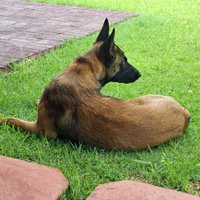 Samuel Sizwe Khumalo 🇳🇦🇿🇦 (@toastking6) 's Twitter Profile