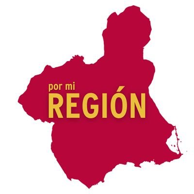El Partido de la Región 🍋

#NuestraRegión
#NuestroCompromiso