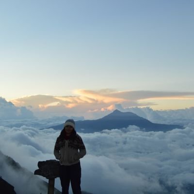 DanielaCas26774's profile picture. 
