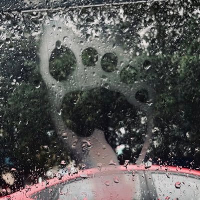 lax_4151's profile picture. 