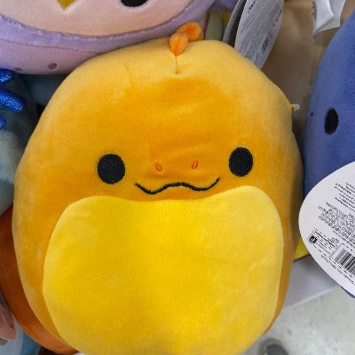 Thatpitperson's profile picture. 