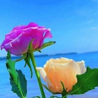 KSENTHILKUMAR (@ksenthil_kumars) 's Twitter Profile