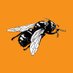 Barba de Abejas (@barbadeabejas) Twitter profile photo Barba de Abejas (@barbadeabejas) Twitter profile photo