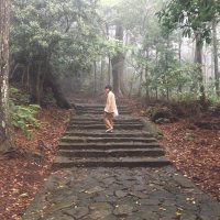 藤川千流 (@fujikawa_chi) Twitter profile photo