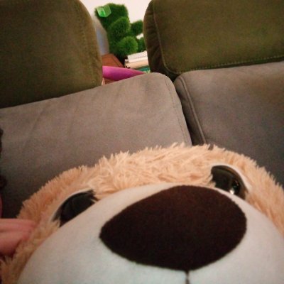 p0etischer's profile picture. TC Player
Flex Main
Dia 1
Octane Main
Champ 3