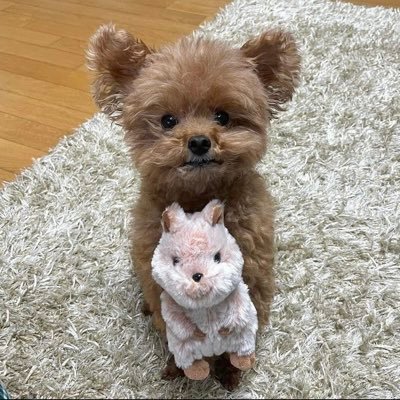 yiiivv08394342's profile picture.