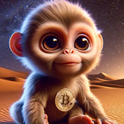 My NFT Collections Consisting of BTC MONKEYS