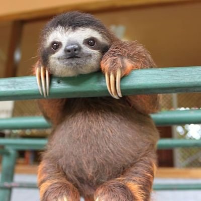 George44537291's profile picture. 