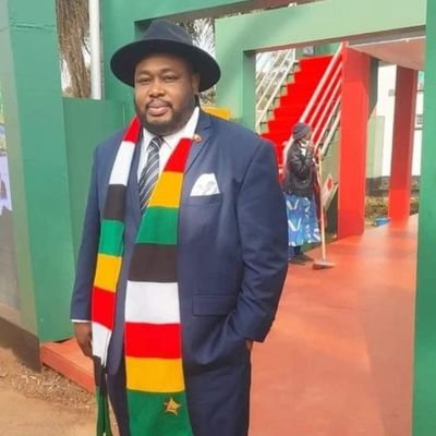 Zanu-PF North America USA Commissar 

Former Secretary of Youth North America - USA  2019 - 2023