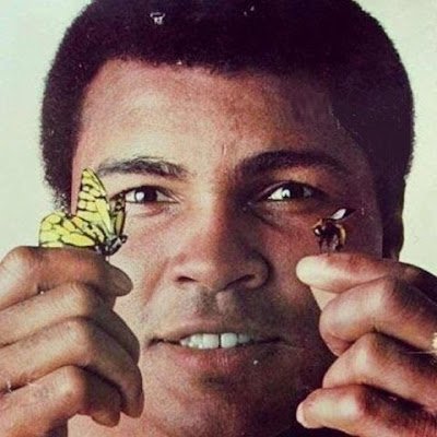 AdletNurga6464's profile picture. 