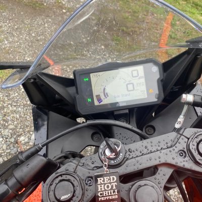 anoniemnjg's profile picture. Español chileno viviendo en holanda abierto para chats y lo que sea 🤪 23 añitos